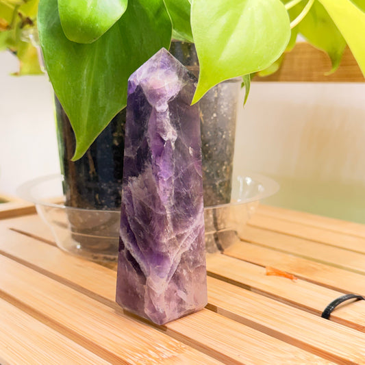 Amethyst crystal on a wooden surface with green leaves in the background