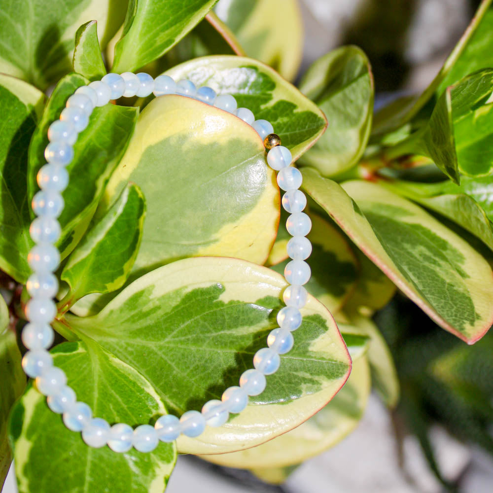 Opalite Healing Crystal Energy Bracelet with 4mm Natural Gemstones and 14K Gold-Filled Hypoallergenic Bead