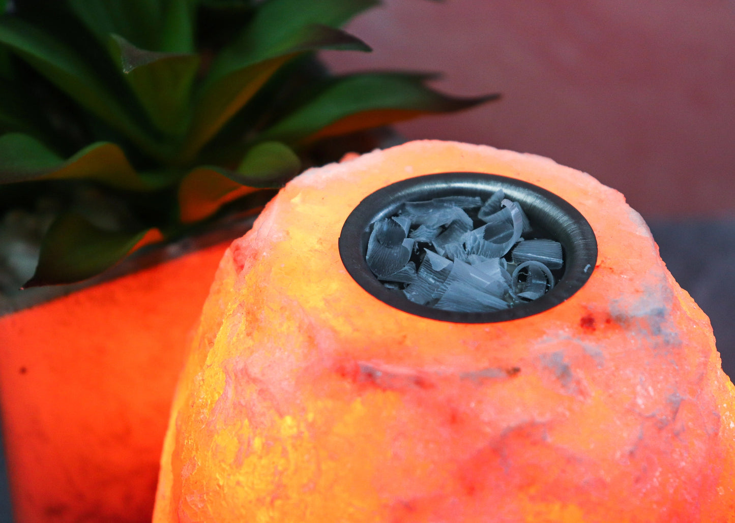 A glowing orange and pink salt lamp with a black circular opening filled with dried flower petals, set against a blurred background with a green succulent and a reddish wall.