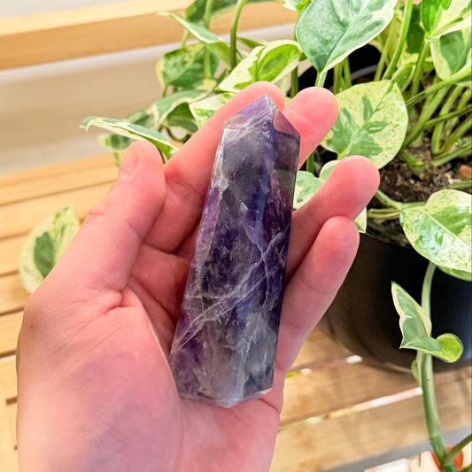 Hand holding a purple crystal with plants in the background