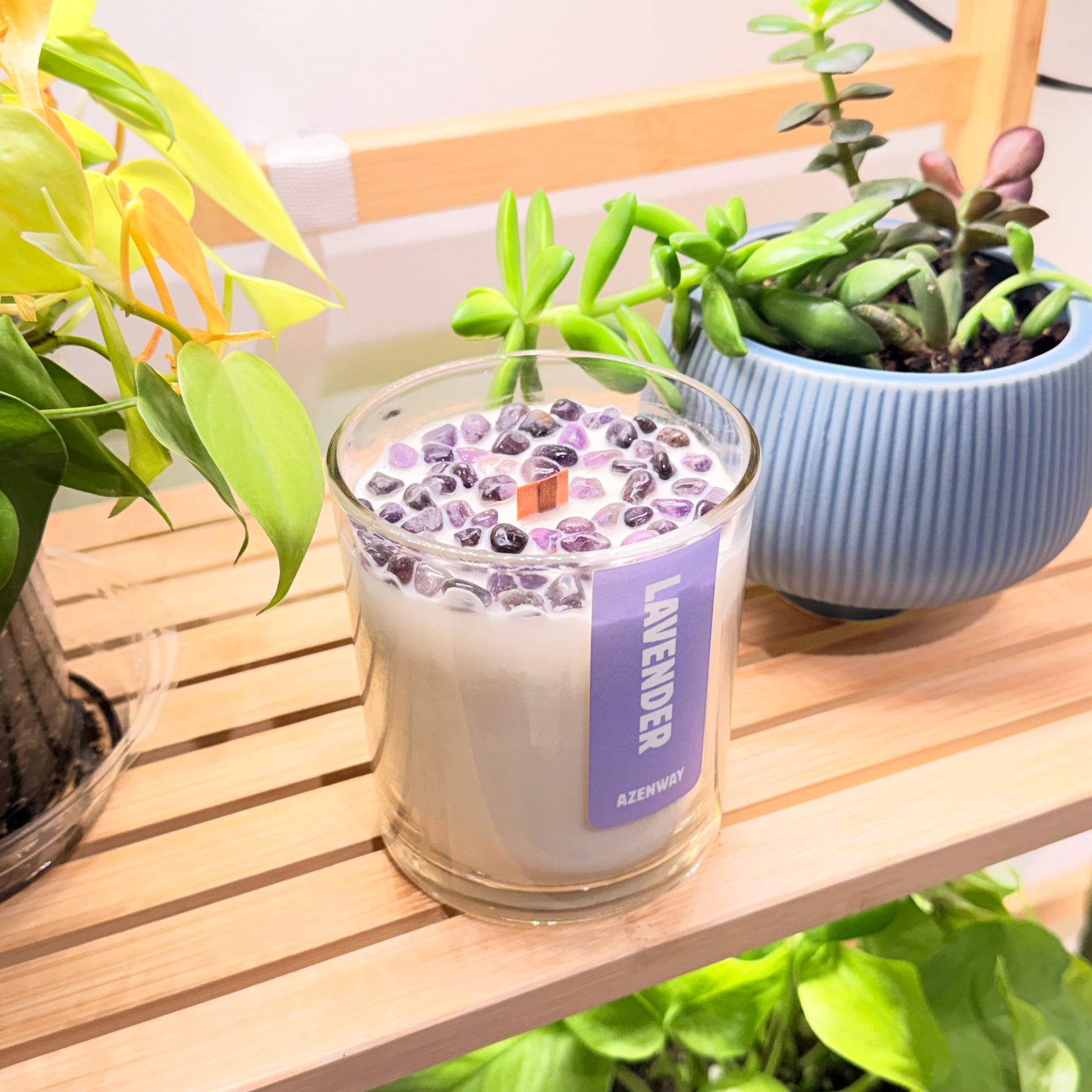 Lavender crystal candle with wooden wick sitting on a shelf near green leafy plants.