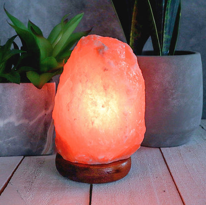 A glowing pinkish-orange salt lamp on a dark wooden base, styled on a light wooden surface with potted green plants in the background.