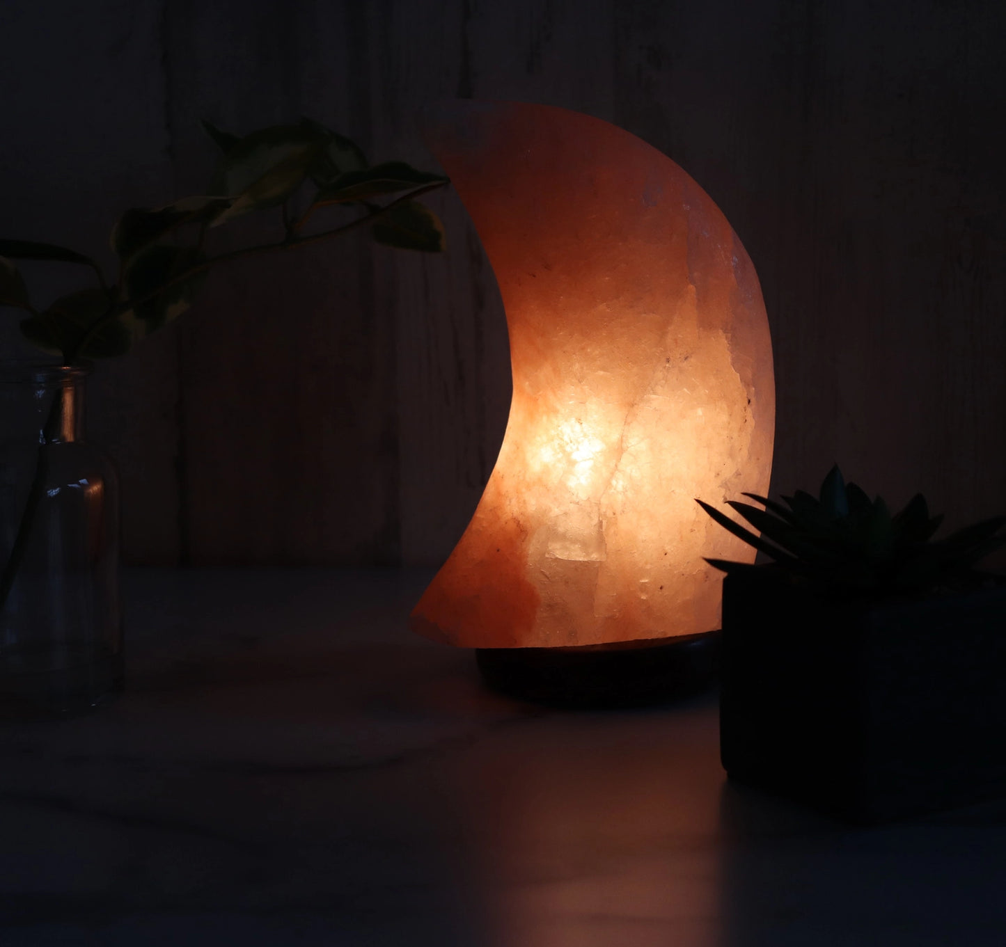 Himalayan salt lamp on a dark surface with plants in the background