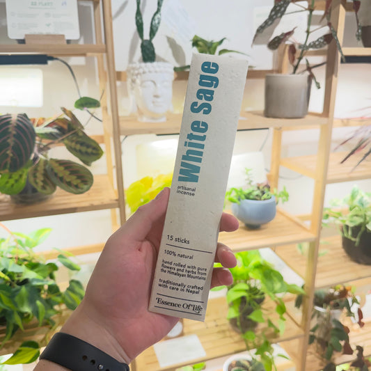 White Sage Artisanal Incense