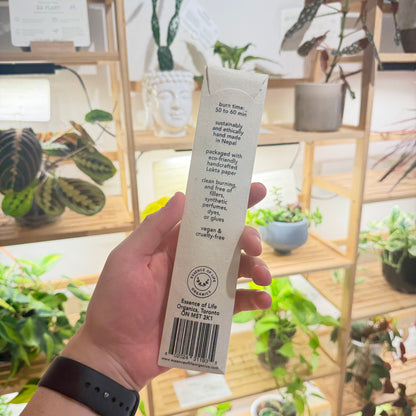 White Sage Artisanal Incense