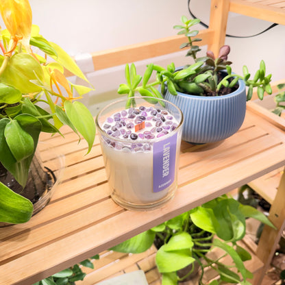 Glass lavender candle with amethyst crystals and wooden wick styled next to potted plants.