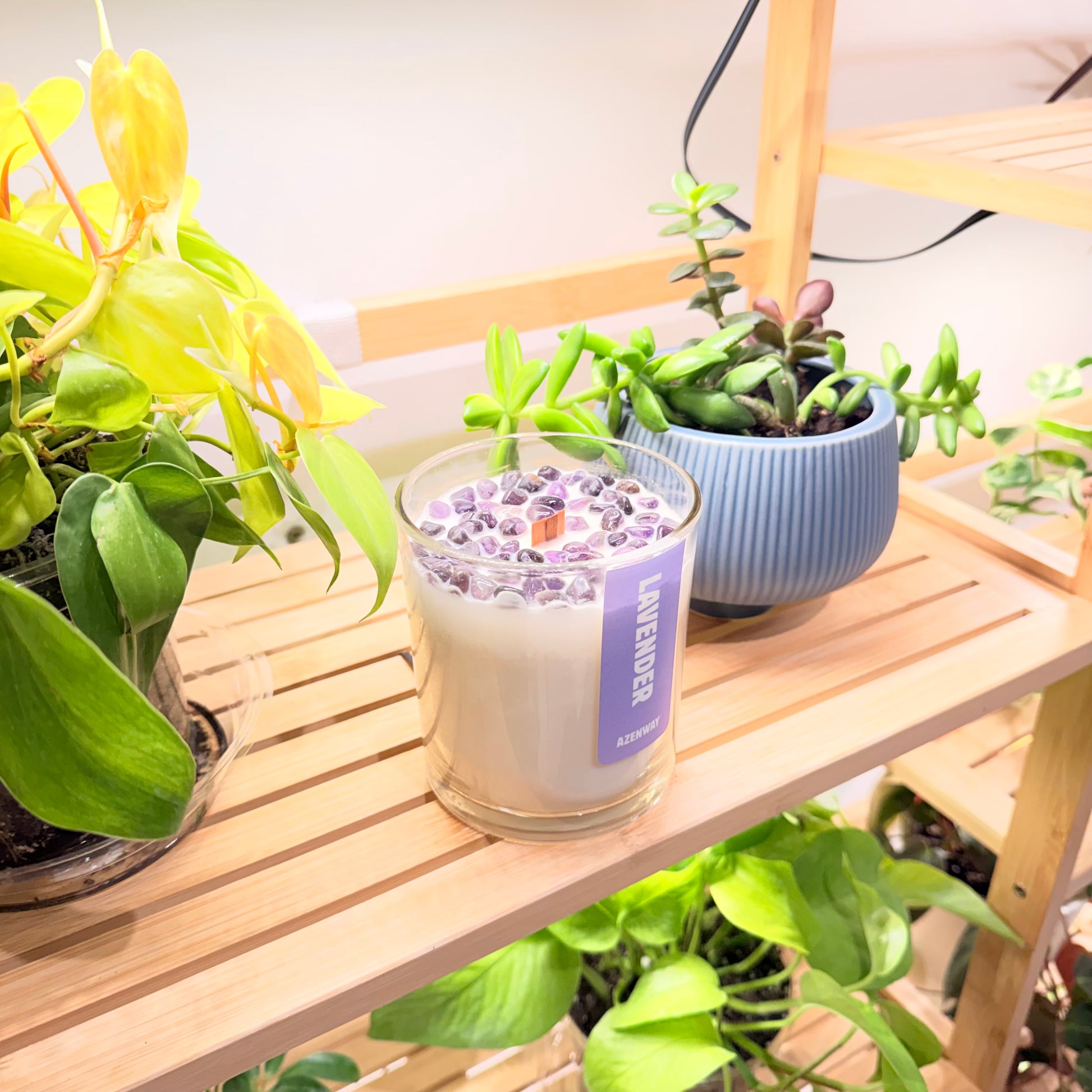 Lavender candle with amethyst crystals displayed on a wooden plant shelf beside succulents.