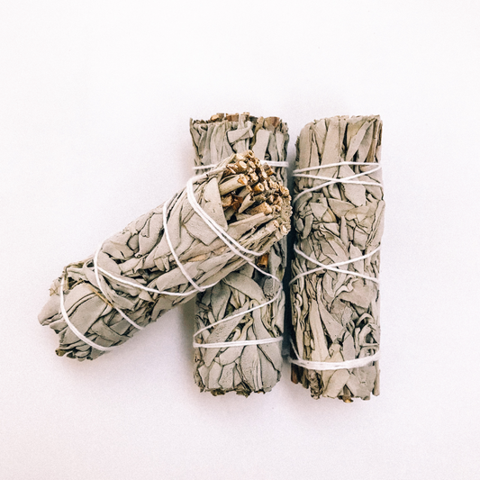 Organic White Sage